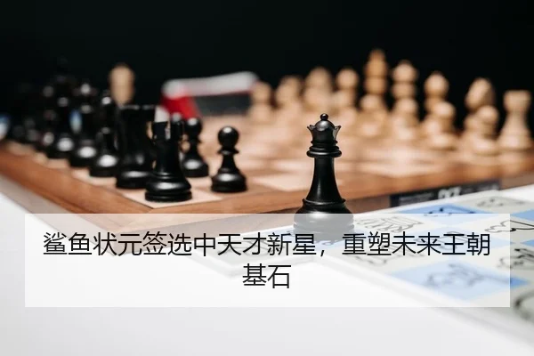 鲨鱼状元签选中天才新星，重塑未来王朝基石